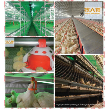 Equipamento de agricultura para frango de China fabricante 2016